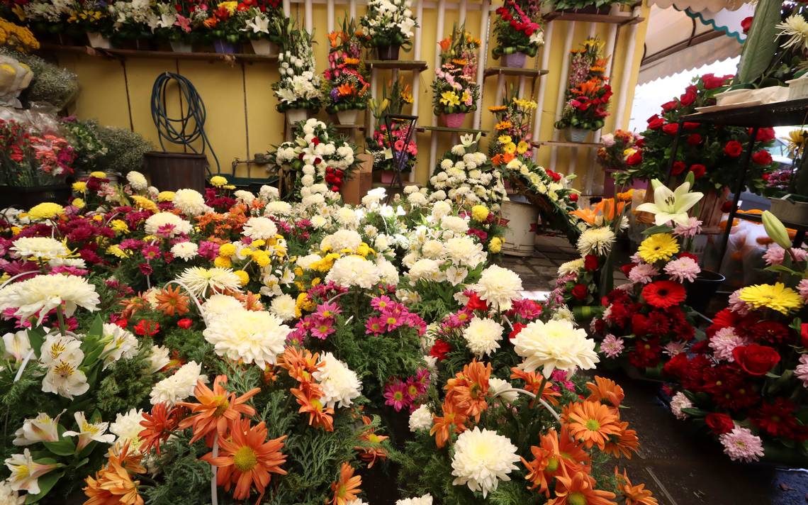 Precio de las flores aumenta hasta 10% - Diario de Querétaro | Noticias  Locales, Policiacas, de México, Querétaro y el Mundo