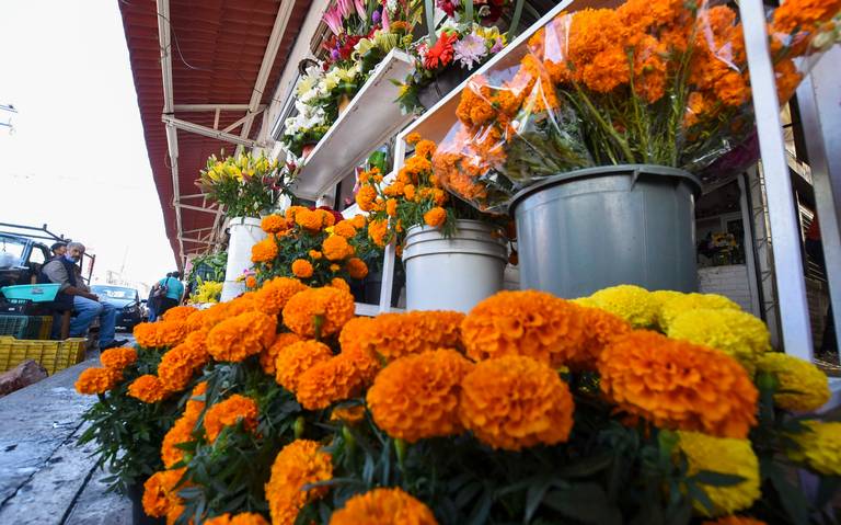 Ventas de flores por Día de Muertos caerán 80% - Diario de Querétaro |  Noticias Locales, Policiacas, de México, Querétaro y el Mundo