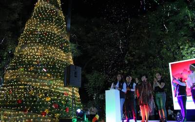 Arbol De Navidad - Arbol De Navidad - Diario de Querétaro | Noticias  Locales, Policiacas, de México, Querétaro y el Mundo