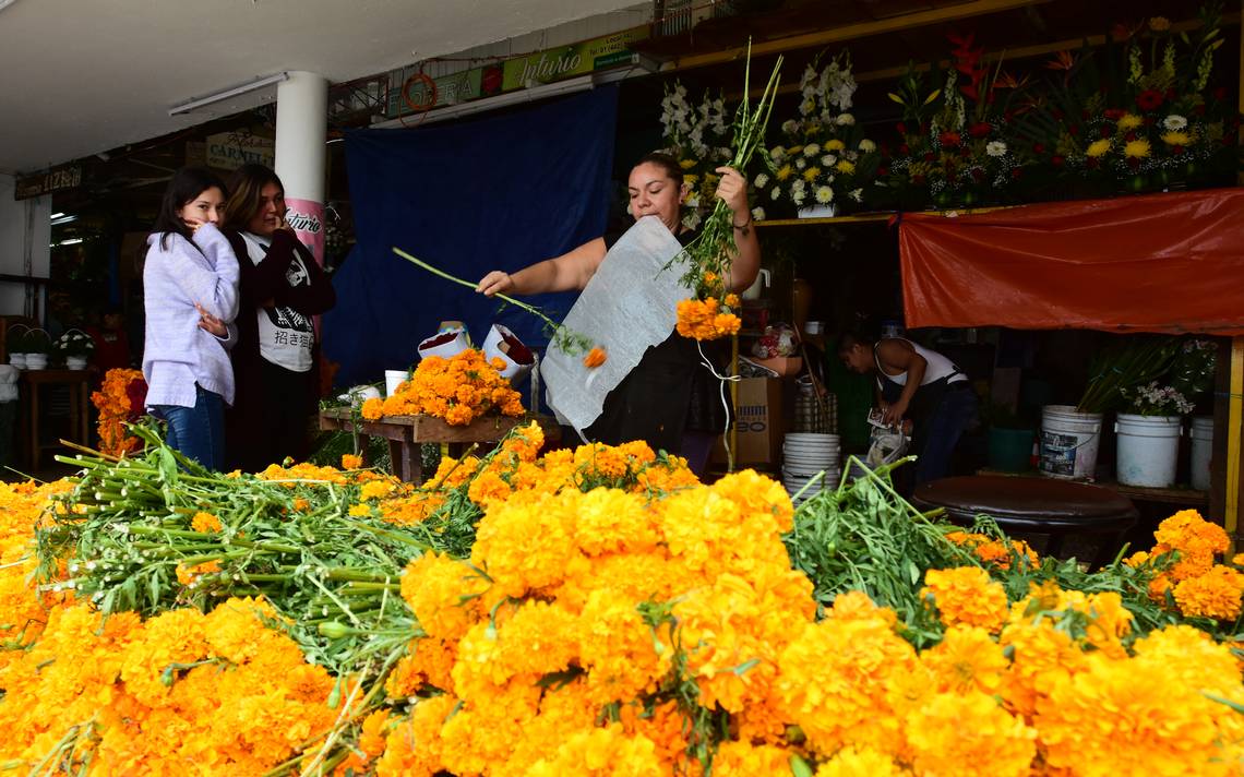 Llegó la flor de cempasúchil - Diario de Querétaro | Noticias Locales,  Policiacas, de México, Querétaro y el Mundo