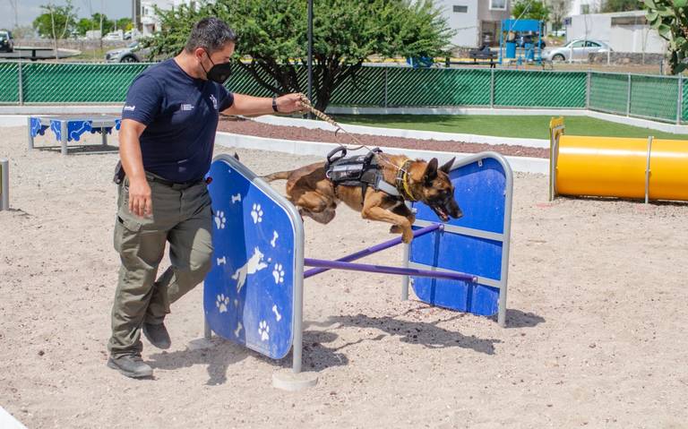 Rehabilitan parque recreativo para perros en El Mirador - Diario de  Querétaro | Noticias Locales, Policiacas, de México, Querétaro y el Mundo