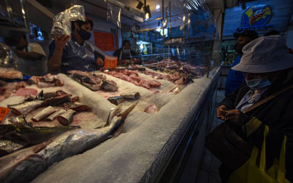 Mantienen los precios de pescados y mariscos - Diario de Querétaro |  Noticias Locales, Policiacas, de México, Querétaro y el Mundo