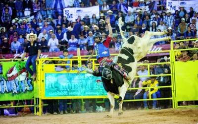 El Jaripeo Un Mundo Lleno De Adrenalina Diario De Queretaro